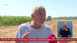Kako temperatura utiče na kukuruz u Srpskoj?