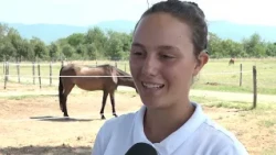 TWIN FOALS COSIMO AND IOLE RETURN HOME TO CASTIGLION FIORENTINO