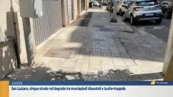San Lazzaro, five streets in decay between crumbling sidewalks and trap-like potholes