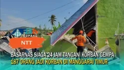 Day 3 of NTT Earthquake, Basarnas: 187 Earthquake Victims in East Manggarai