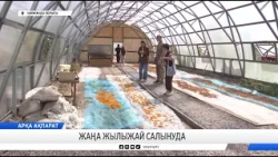 Жаңа жылыжай салынуда
