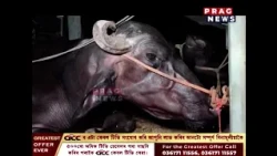 বহিঃৰাজ্যৰ পৰা ৰে’লেৰে সৰবৰাহ হৈছে ম’হ