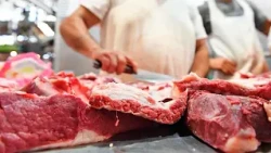 Meat consumption fell 11% in the first half of 2026