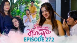 Sihineka Thaniwela (සිහිනෙක තනිවෙලා) | Episode 272 - (2026-10-19) | ITN