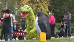 Helpful advice to keep everybody in Connecticut safe on Halloween