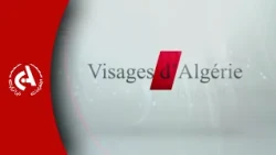 Le cinéma de l'immigration algérienne : une caméra contre le racisme en France