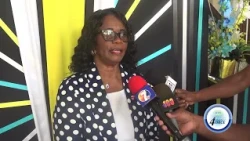 FORMER HOME AFFAIRS MINISTER TURNED SENATOR BACKS NEW PLEA-BARGAINING BILL