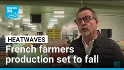France agriculture production sees economic hit from heatwaves • FRANCE 24 English