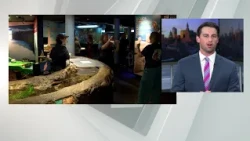 Mystic Aquarium hosts Deaf Awareness Day celebration