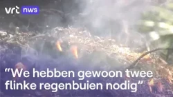 Severe wildfire in Dutch Limburg: mop-up operations still underway