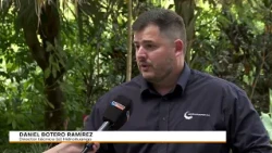 EPM may take 45 days to remove vegetation from Hidroituango