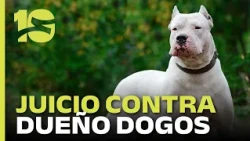 Córdoba: Trial against the owner of the Dogo Argentinos that killed a 15-year-old girl begins thi...