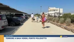 Panic in Baia Verde: 27-year-old damages the waterfront and injures a police officer, arrested
