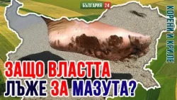 Причината за мазута по българския бряг, който трови всичко живо, СА УКРАИНСКИТЕ УДАРИ ПО ТАНКЕРИ!