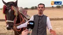 From the Heart of Algeria: Equestrianism and Fantasia, an Authentic Heritage Guarded by a Love Af...