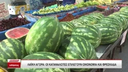 Λαϊκή αγορά: Οι καταναλωτές επιλέγουν οικονομία και φρεσκάδα - Τι τιμές συναντήσαμε