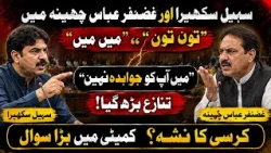 Sohail Sukhera & Ghazanfar Abbas Chheena Clash in Committee | “I’m Not Answerable to You | News One