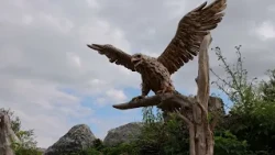 Vstúpte do neobyčajného sveta Woodlandie