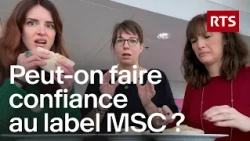 Poisson MSC : enquête sur les controverses du label durable | RTS