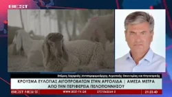 Σπύρος Ζαχαριάς Αντιπεριφερειάρχης Αγροτικής Οικονομίας & Κτηνιατρικής στην τηλεόραση BEST 03-09-26