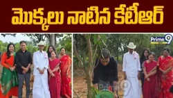 KTR Birth day : మొక్కలు నాటిన కేటీఆర్ | Prime9 News