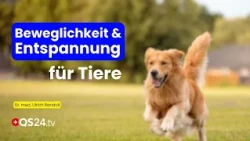 Mobility and Relaxation: Cellular Regeneration for Pets | Dr. Ulrich Randoll | QS24