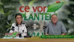 Foliar treatment for fruit trees after harvesting Cristina and Horia Ghibu
