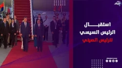 لحظة استقبال الرئيس السيسي وقرينته للرئيس الصيني وقرينته بمطار القاهرة