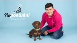 Jazvečík Charlie má veľké ego a ešte väčší problém | Neposlušní