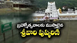 బ్రహ్మోత్సవాలకు ముస్తాబైన శ్రీవారి పుష్కరిణి