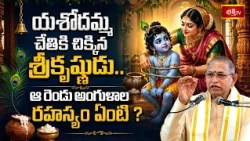 యశోదమ్మ చేతికి చిక్కిన శ్రీకృష్ణుడు.. ఆ రెండు అంగుళాల రహస్యం ఏంటి? | Krishna Leela