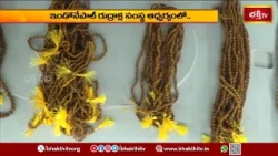 ఇండోనేపాల్ రుద్రాక్ష సంస్థ ఆధ్వర్యంలో రుద్రాక్షల ప్రదర్శన..! | Rudraksha Exhibition | Bhakthi TV