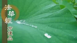 【靜思妙蓮華】法華經方便品第二 - 專精破疑網 - 第251集｜共修版