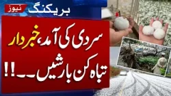 Samaa News | SAMAA TV