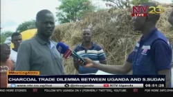 Charcoal trade dilemna between Uganda and South Sudan | MorningAtNTV