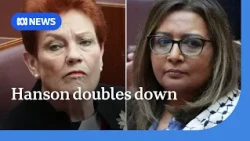 Pauline Hanson loses appeal bid against racial discrimination of Mehreen Faruqi | ABC NEWS