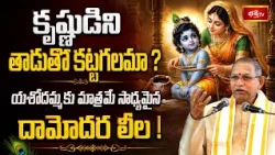 కృష్ణుడిని తాడుతో కట్టగలమా? యశోదమ్మకు మాత్రమే సాధ్యమైన దామోదర లీల! | Damodhar Leela Story in Telugu