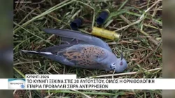 Αντιδράσεις ενόψει της έναρξης της κυνηγετικής περιόδου - Η Ορνιθολογική Εταιρία καταδικάζει