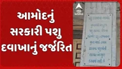 Bharuch News |  ભરૂચના આમોદ તાલુકામાં આવેલું સરકારી પશુ દવાખાનું અત્યંત જર્જરિત હાલતમાં