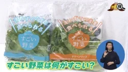 [Kago-Tan] Safe and Secure Agricultural and Marine Products: The New K-GAP Certification (Broadca...