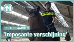 Zo worden politieruiters opgeleid in Groningen