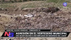 AGGRESSION AT THE MUNICIPAL LANDFILL WEB