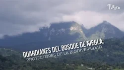 Guardians of the Cloud Forest: Protectors of Biodiversity - TvAgro by Juan Gonzalo Angel