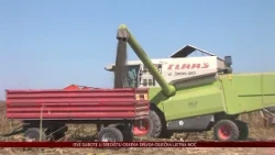 Prvi krug županijskih potpora u poljoprivredi – 196 tisuća eura za 79 proizvođača