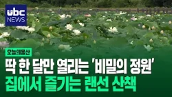 The 'Secret Garden' That Opens Only One Month a Year... A Virtual Walk You Can Enjoy at Home