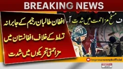Afghanistan Resistance Movements Intensify Against Taliban Regime