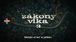 ZÁKONY VLKA 3 🐺 Sledujte už teď na prima+ ⚡️