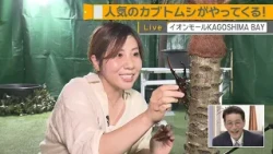 J-Chan's Top Pick 08/21/2026