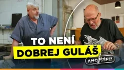 Ano, šéfe! (2026) – Takovej guláš jsem žral naposledy na vojně... 🤢 Nový díl už 10. září na Primě