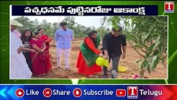పచ్చధనమే పుట్టినరోజు ఆకాంక్ష | KCR Blesses KTR on His Birthday | KTR Plants Sapling with Family